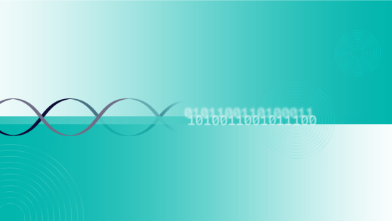 Gain deeper control of Rigetti quantum processors with Quil-T