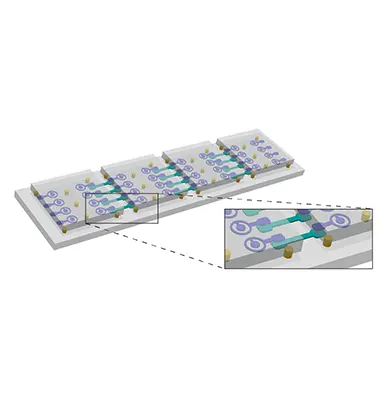 Entanglement across separate silicon dies in a modular superconducting qubit device